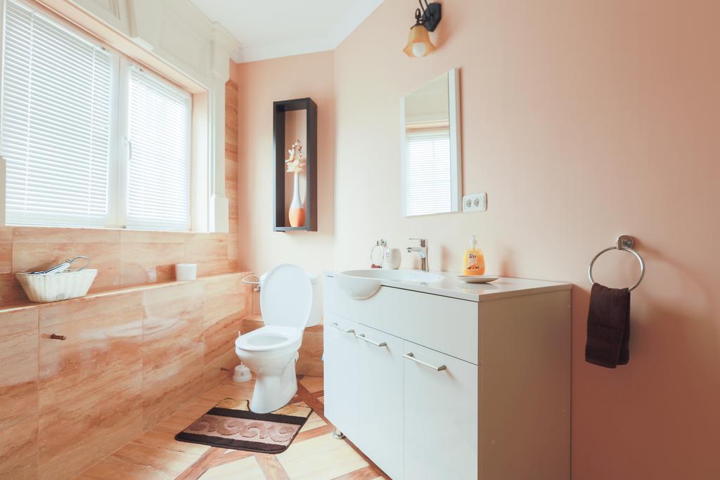 Hotel Casa Iulia Haţeg Pokój zdjęcie