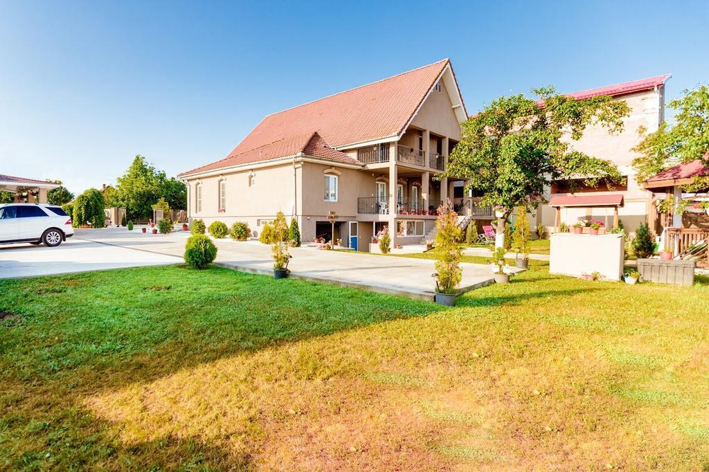 Hotel Casa Iulia Haţeg Zewnętrze zdjęcie
