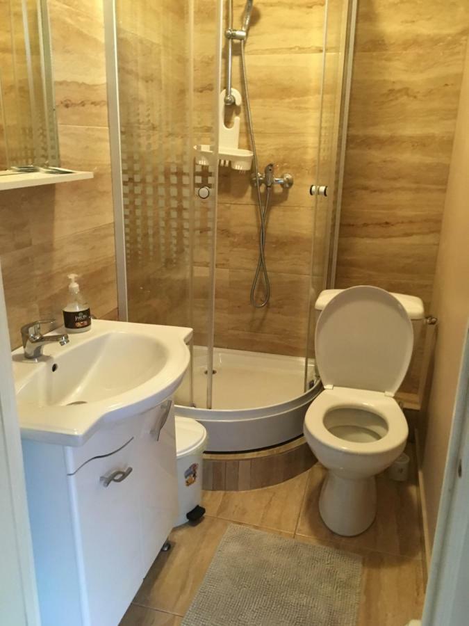 Hotel Casa Iulia Haţeg Zewnętrze zdjęcie